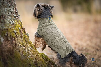 Gustaf & Evita Stickad Hundtröja, Olivgrön