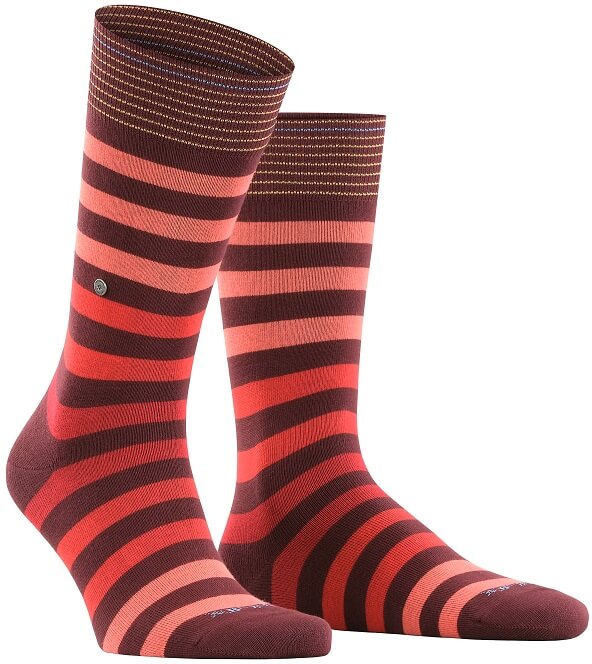 Burlington Blackpool