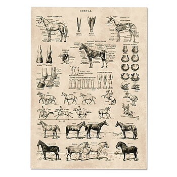 CHEVAL - print