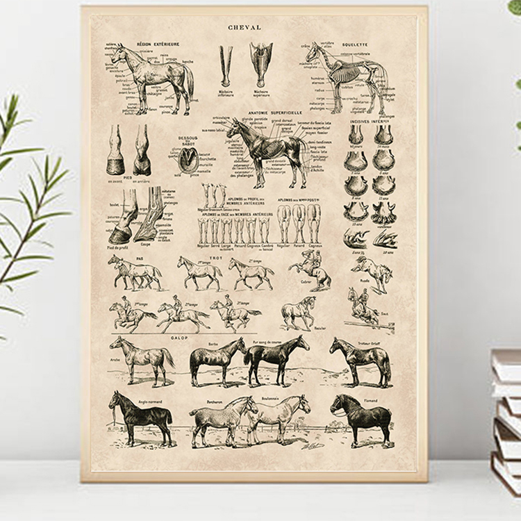 CHEVAL - print - 2