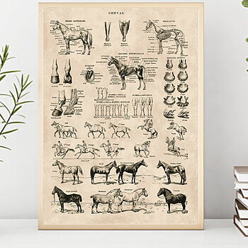 CHEVAL - print