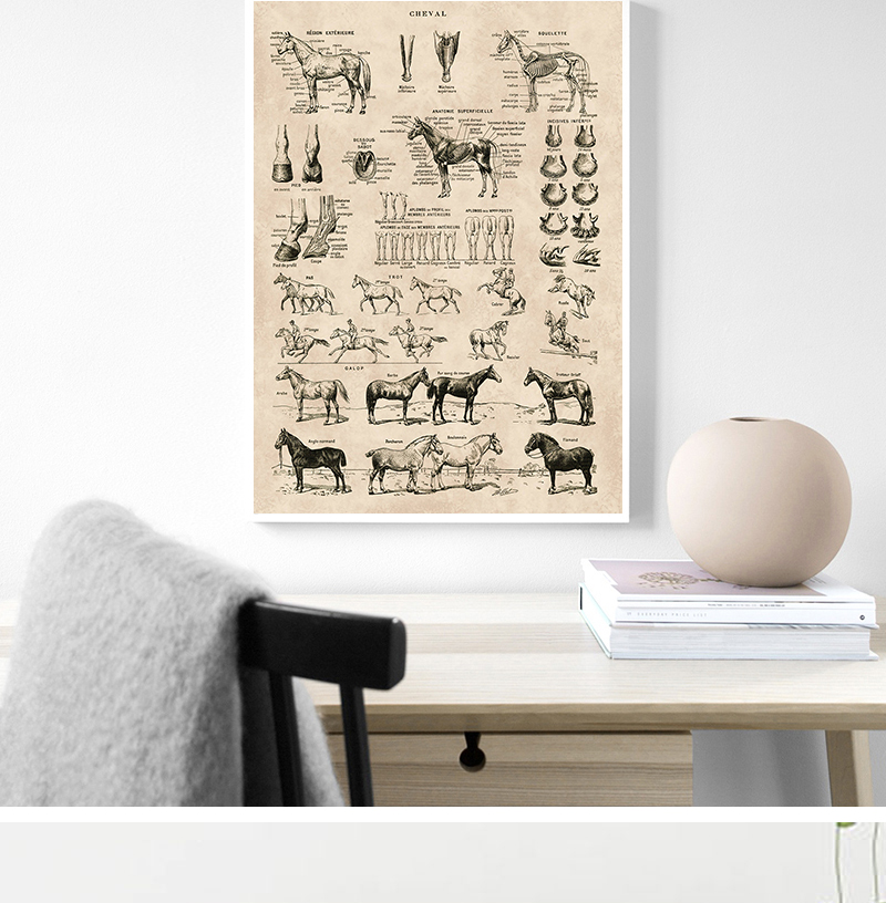CHEVAL - print - 6