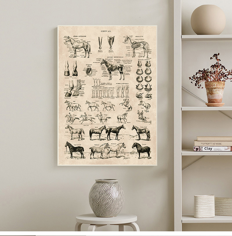CHEVAL - print - 4