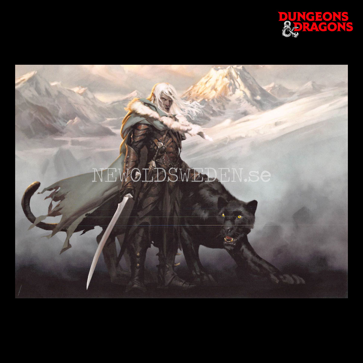 COVER - THE COMPANIONS 2013 - Postcard - Tyler Jacobson - D&D - 299