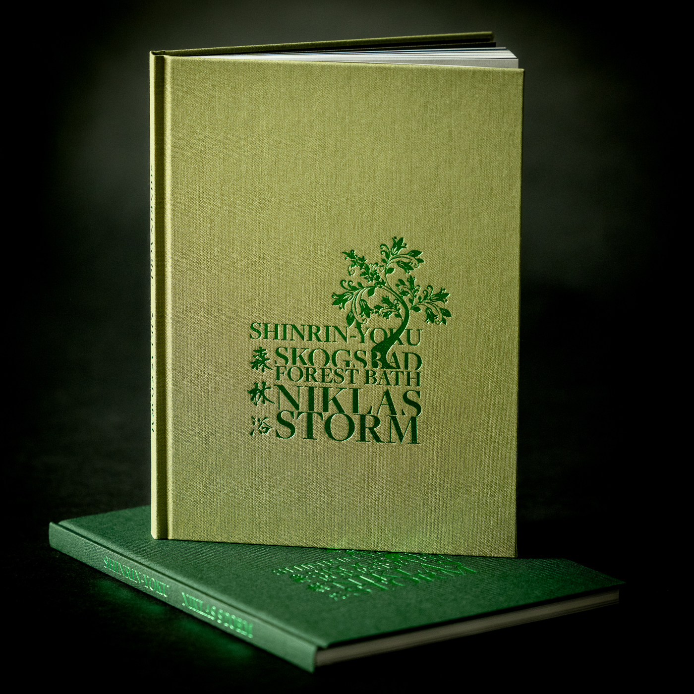 Niklas Storm - Shinrin-yoku  - 9