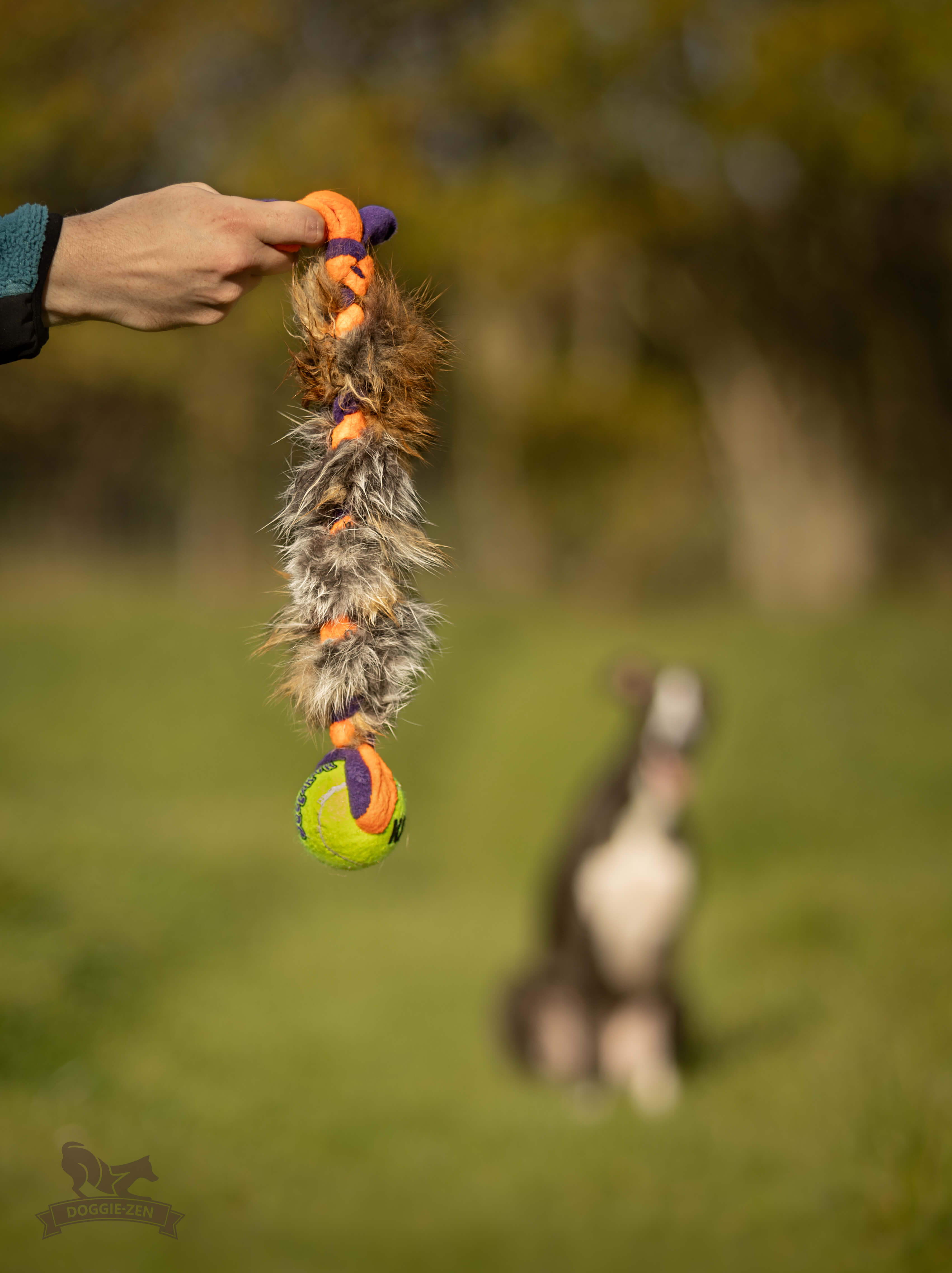 Fleece- & rävfläta med KONG Air pipboll - 6