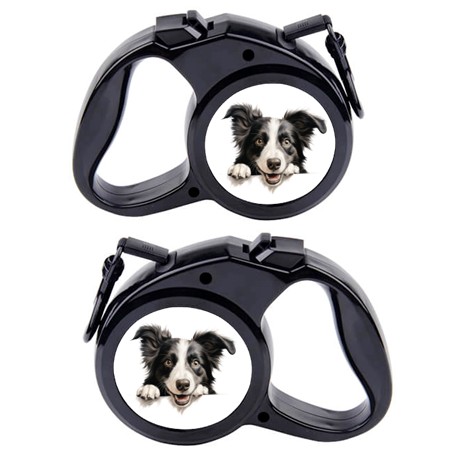 Rullebånd  Hund 7