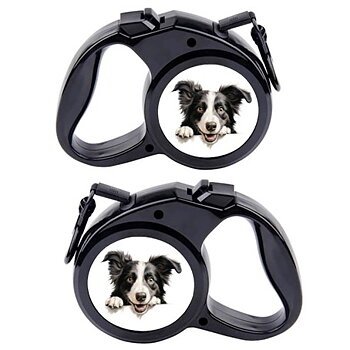 Rullebånd  Hund 7