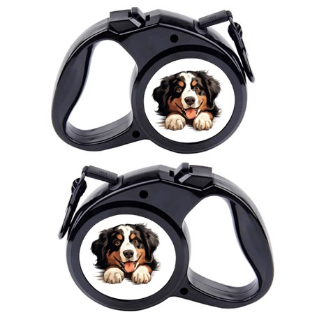 Rullebånd  Hund 6