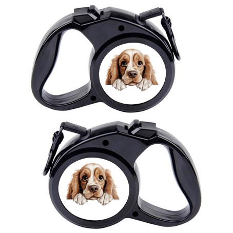 Rullebånd  Hund 5
