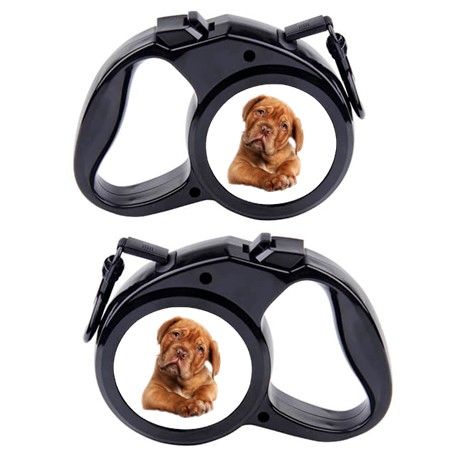 Rullebånd  Hund 4