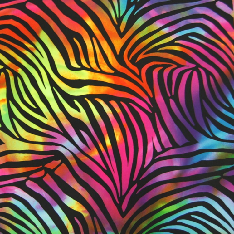 ZEBRA - rainbow