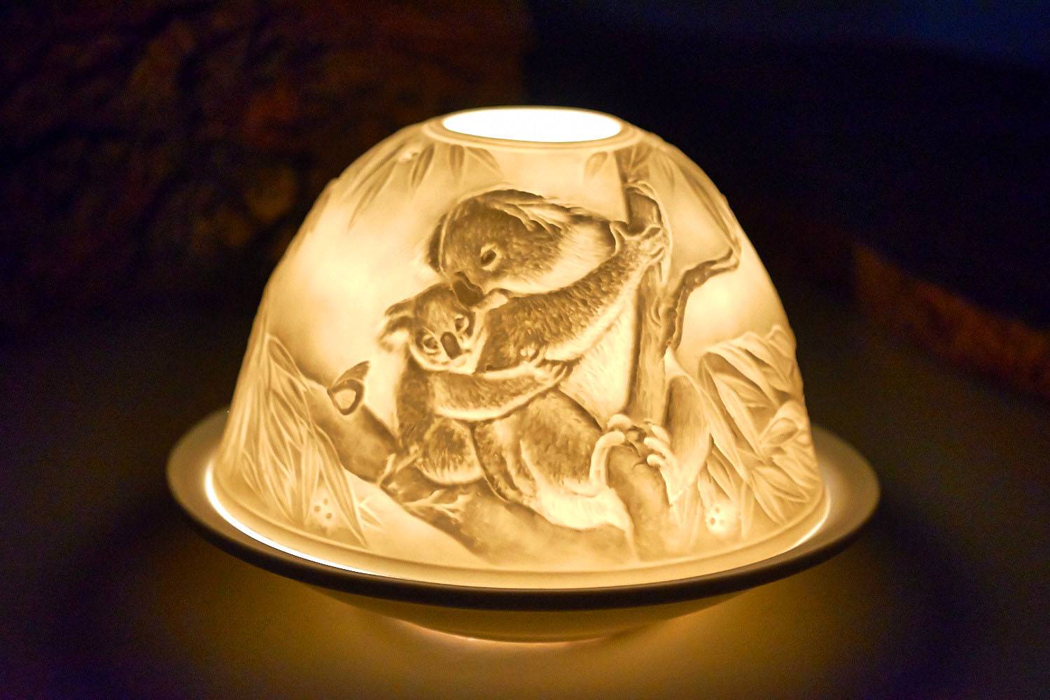 Ljuslykta Starlight , Koala