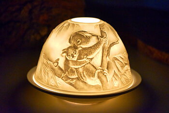 Ljuslykta Starlight , Koala
