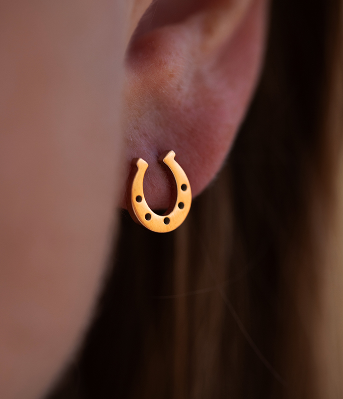 Earring Horseshoe Stainless steel