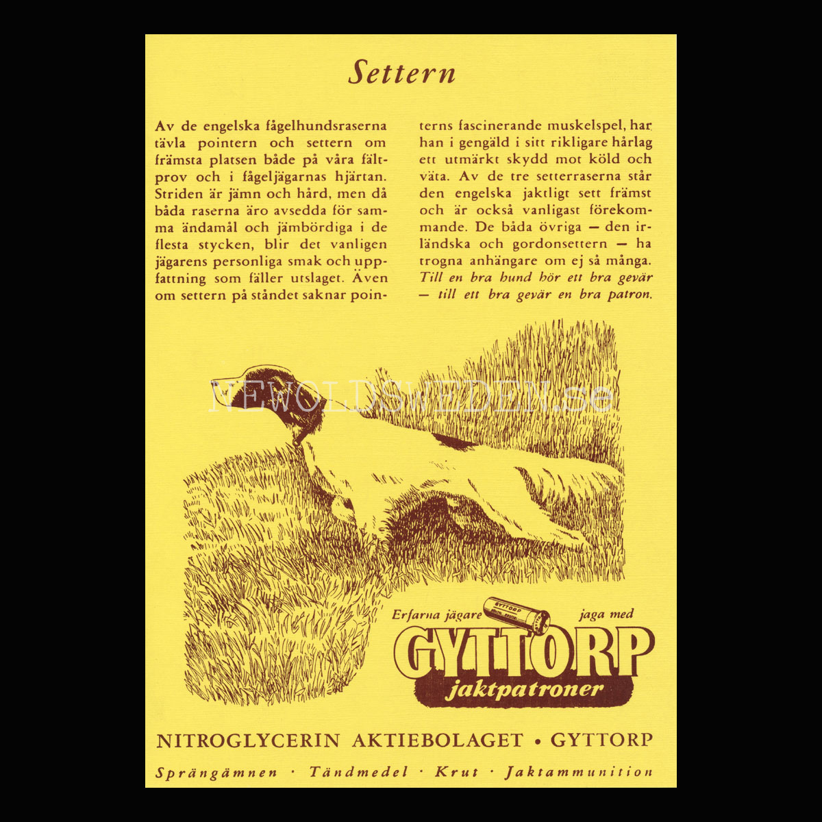 GYTTORP Settern - GYTTORP jaktpatroner - No: 8 av 8 - Vykort A5