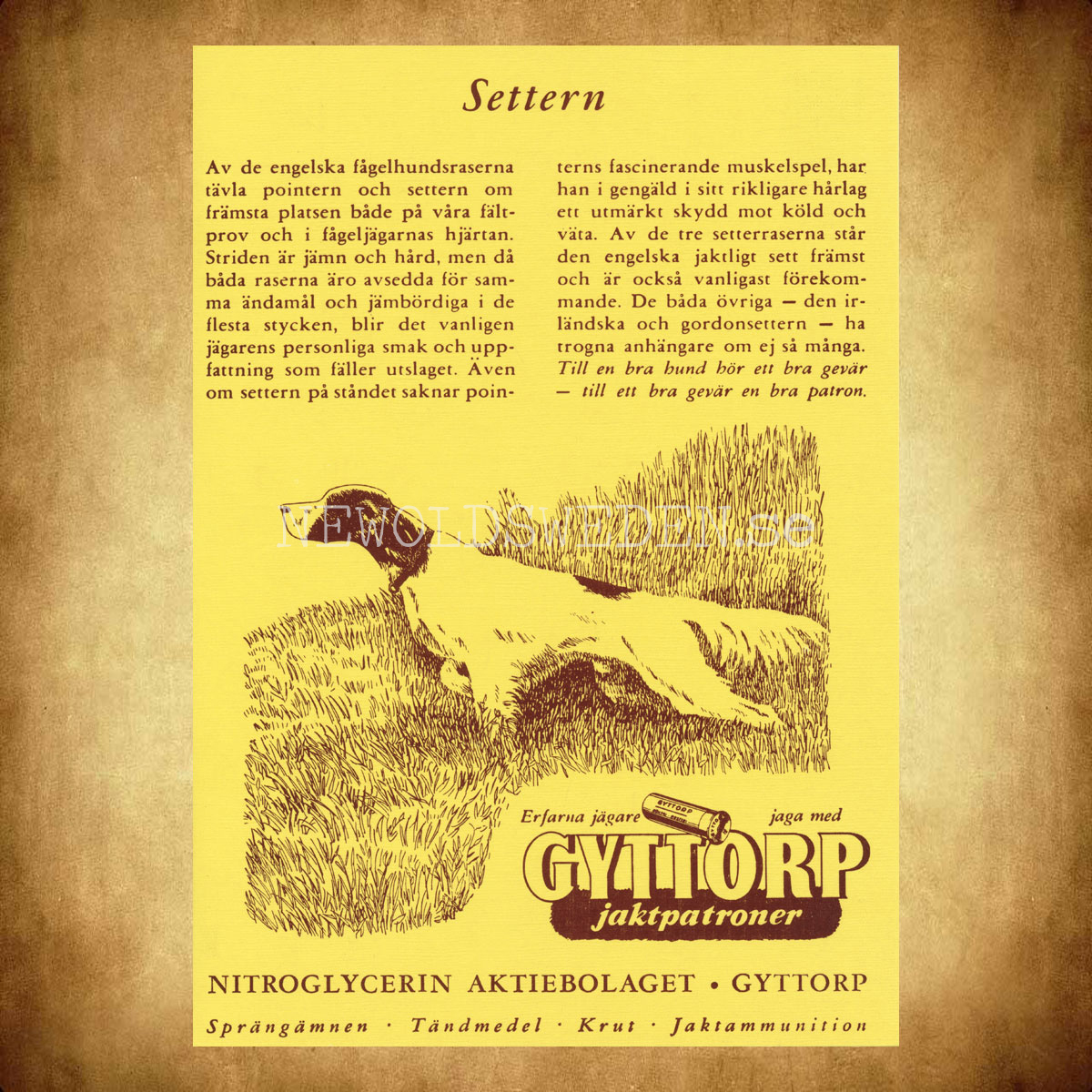 GYTTORP Settern - GYTTORP jaktpatroner - No: 8 av 8 - Vykort A5 - 2