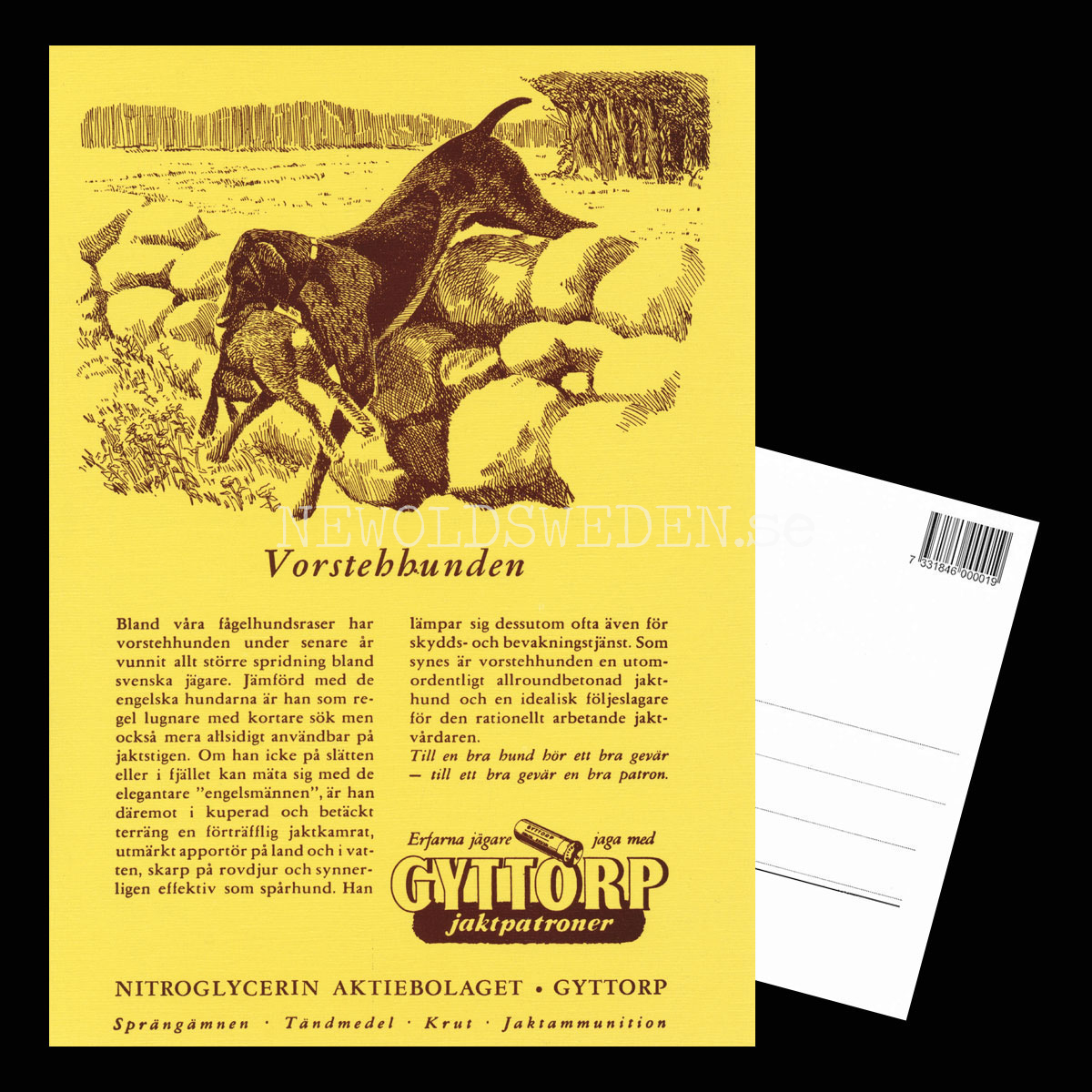 GYTTORP Vorstehhunden - GYTTORP jaktpatroner No: 6 av 8 - Vykort A5 - 3