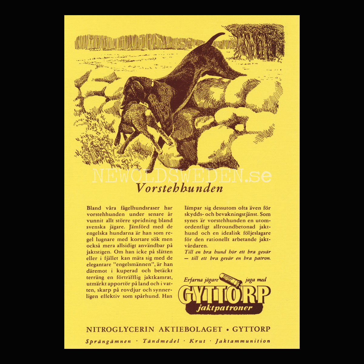 GYTTORP Vorstehhunden - GYTTORP jaktpatroner No: 6 av 8 - Vykort A5