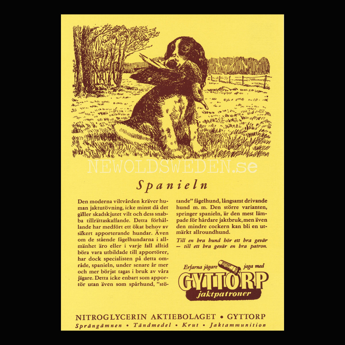 GYTTORP Spanieln - GYTTORP jaktpatroner No: 5 av 8 - Vykort A5