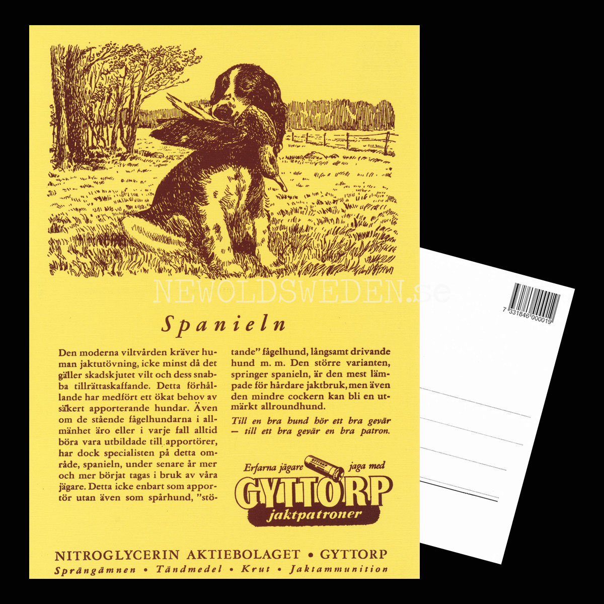 GYTTORP Spanieln - GYTTORP jaktpatroner No: 5 av 8 - Vykort A5 - 3
