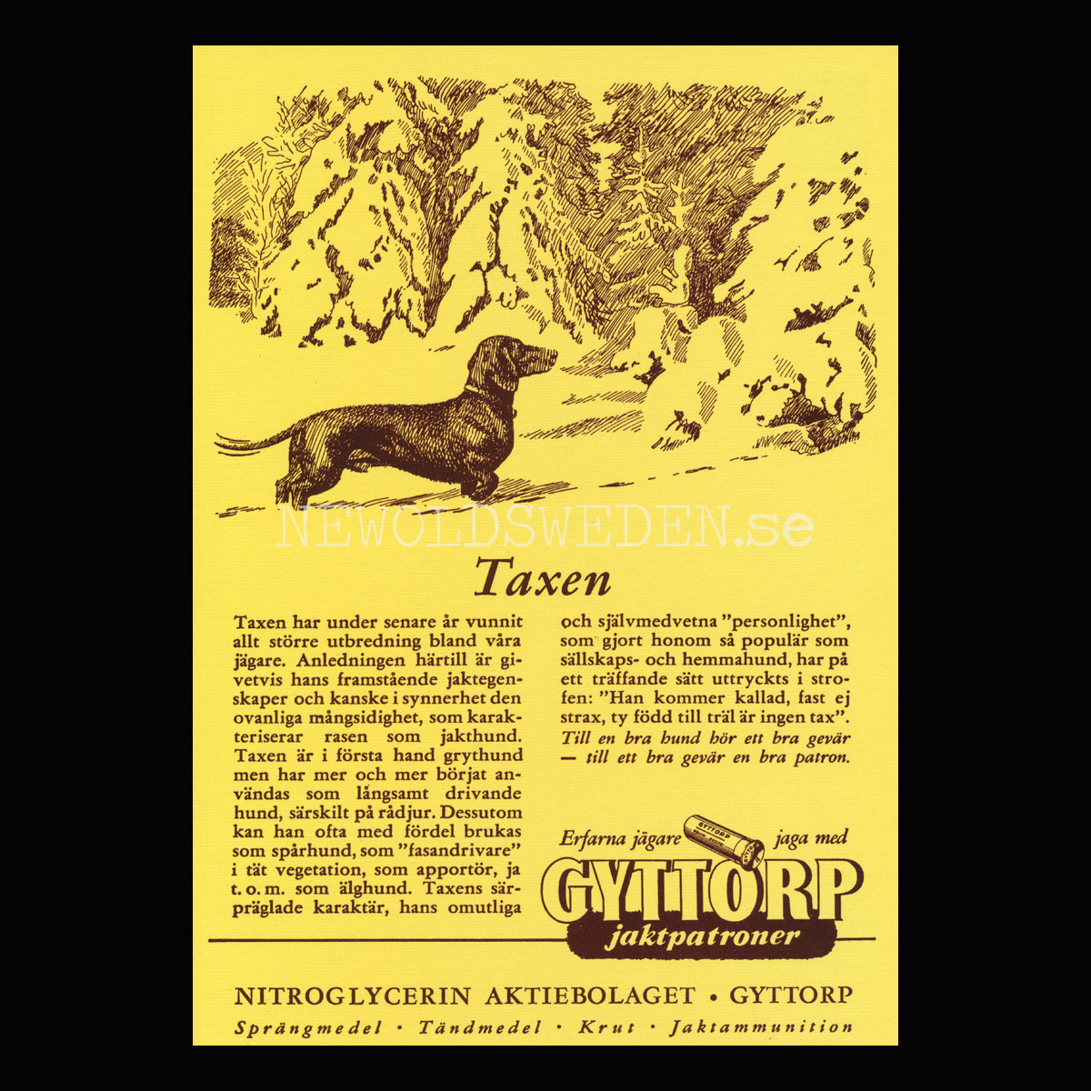 GYTTORP Taxen - GYTTORP jaktpatroner Nr: 2 av 8 - Vykort A5