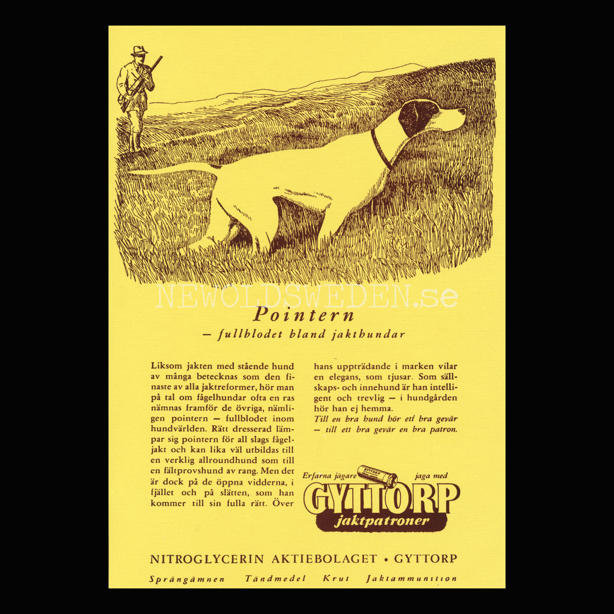 GYTTORP Pointern - GYTTORP jaktpatroner No: 1 av 8 - Vykort A5