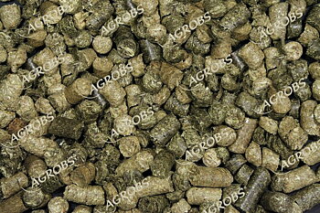 Testudo Herbs 1 kg