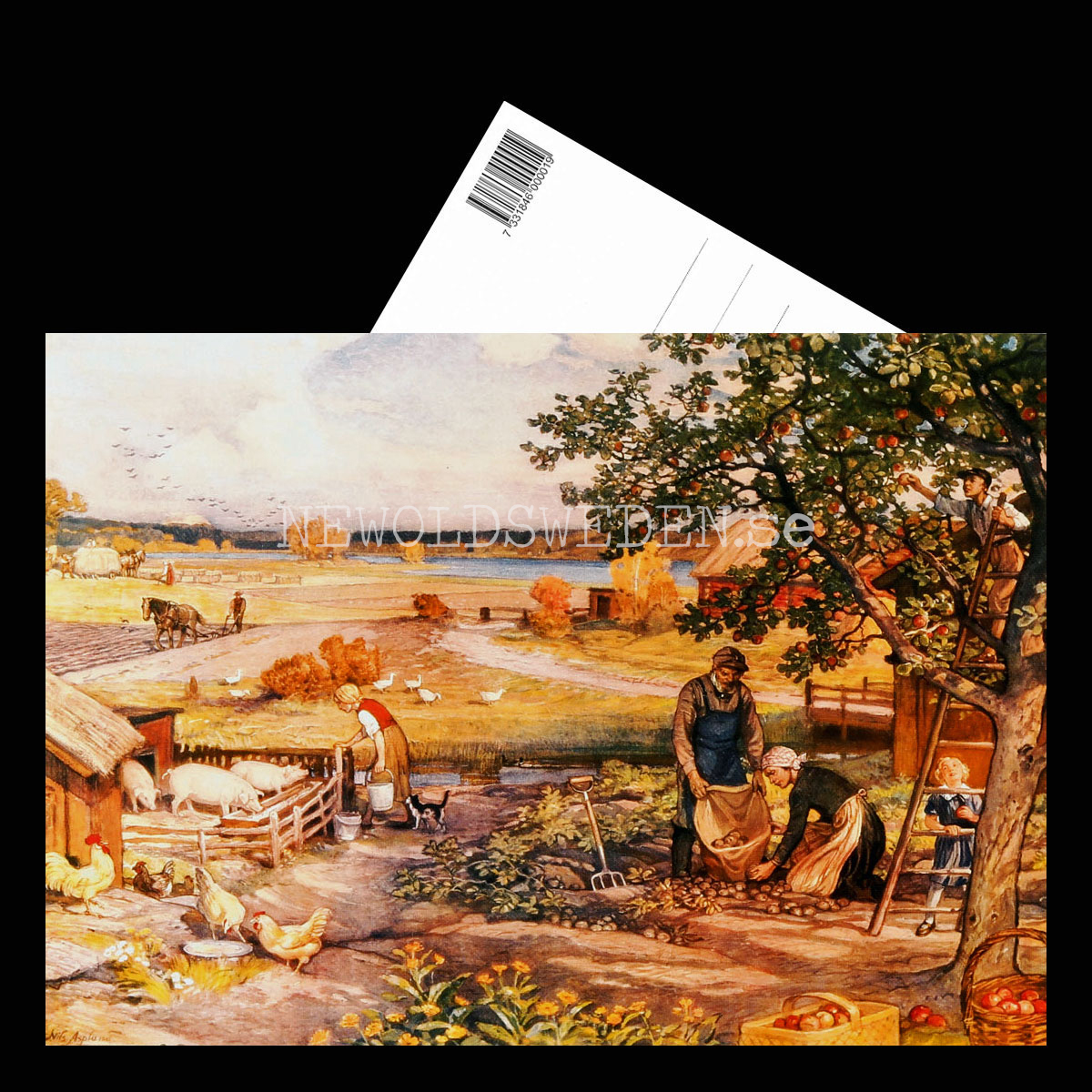 SKOLPLANSCH - Höstsysslor på gården - Nils Asplund - Vykort A5 - 3