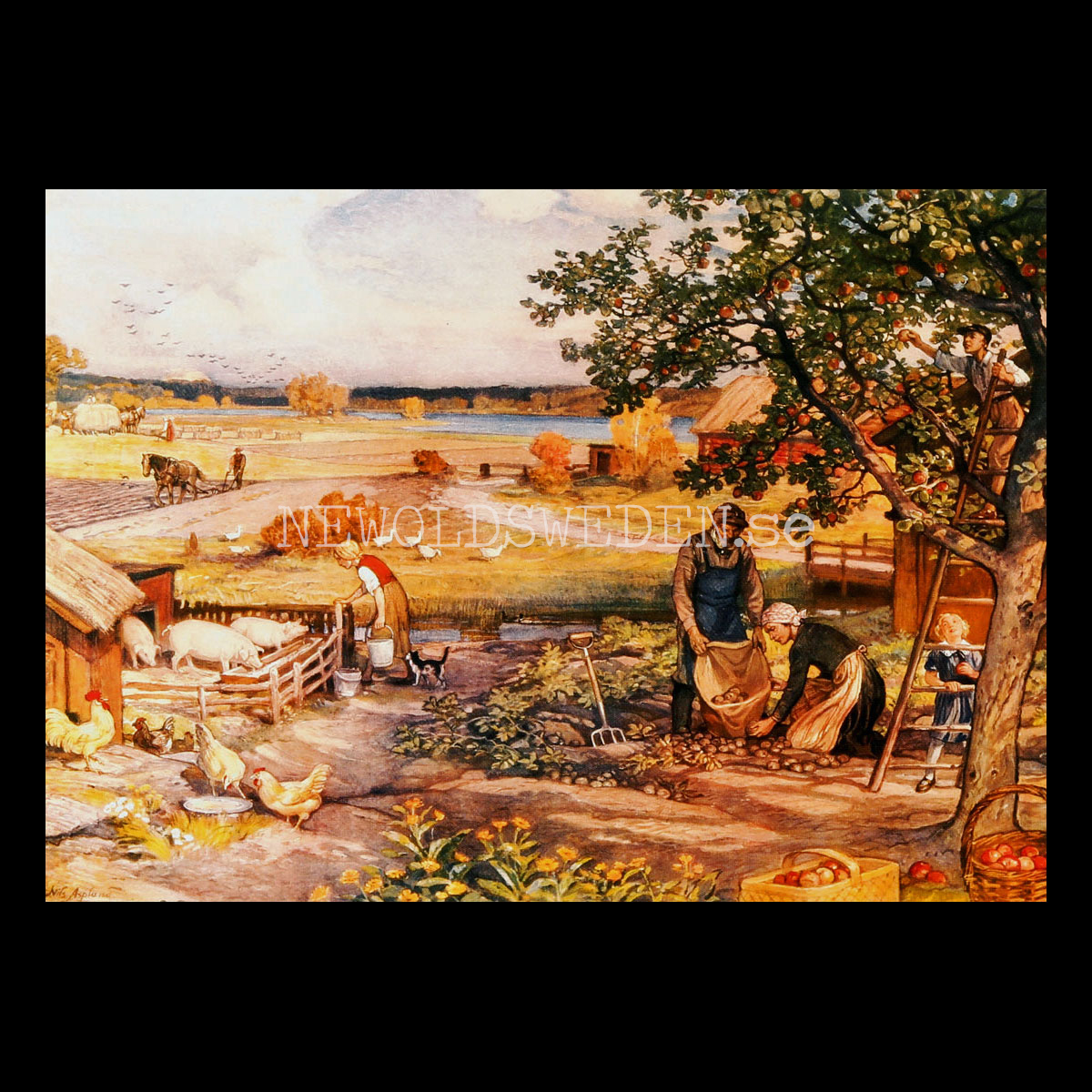 SKOLPLANSCH - Höstsysslor på gården - Nils Asplund - Vykort A5