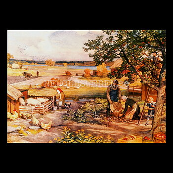 SKOLPLANSCH - Höstsysslor på gården - Nils Asplund - Vykort A5