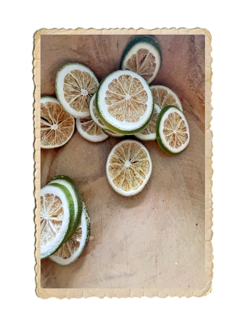 Torkade limeskivor