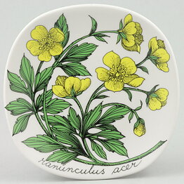 Esteri Tomula (Botanica 1982) Meadow Buttercup Wall Plaque 13 cm (2)