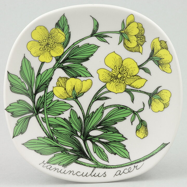 Esteri Tomula (Botanica 1982) Meadow Buttercup Wall Plaque 13 cm (2)