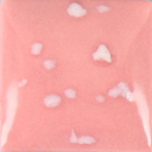 Cherry Blossom