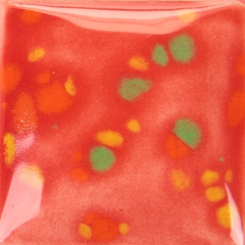 Paradise Punch