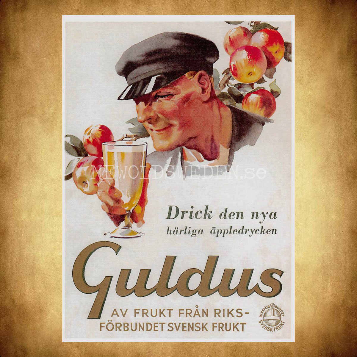 GULDRUS Äppledryck - Vykort A5 - 2