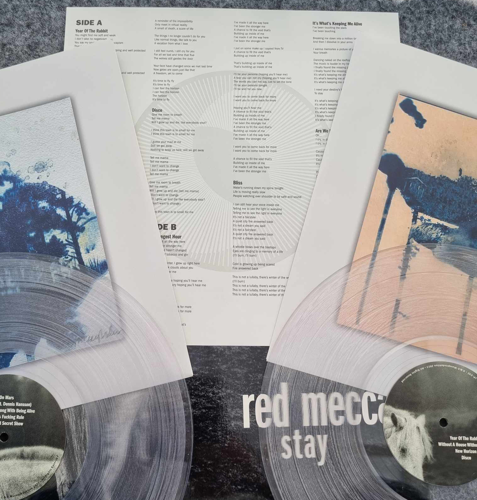 RED MECCA - STAY ( dubbel-LP)  clear vinyl - 4