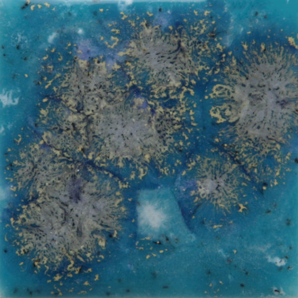 Tahiti Grape