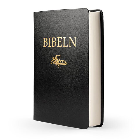 Svenska Folkbibeln 2015  Kompaktbibel, svart cabraskinn
