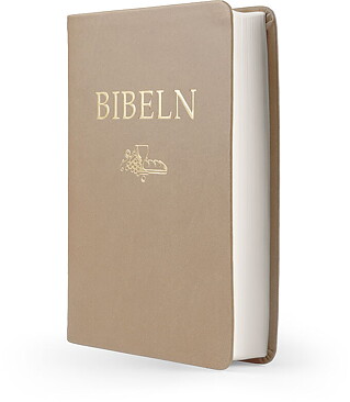 Svenska Folkbibeln 2015  Kompaktbibel, brun skinnimitation