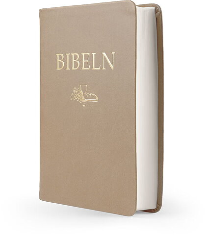 Svenska Folkbibeln 2015  Kompaktbibel, brun skinnimitation