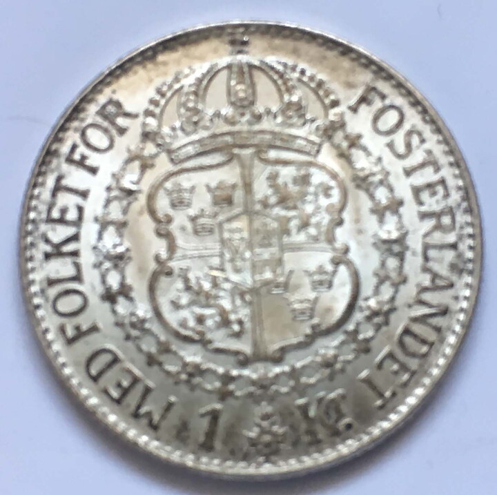 1 kr 1931 god 01 patina