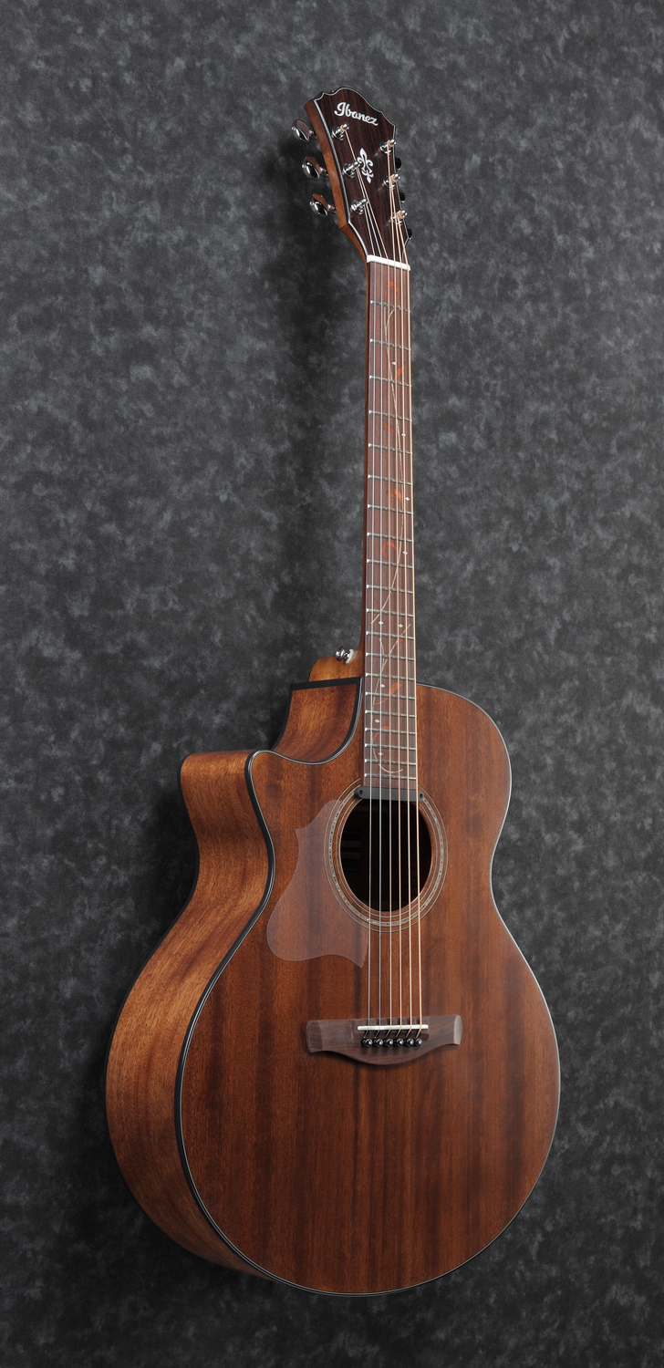Ibanez AE295L-LGS - 5