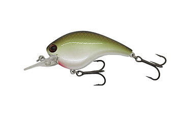 Ichikawa RC Flat Shad 65MD