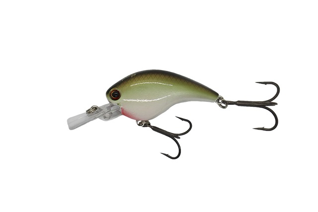 Ichikawa RC Flat Shad 45MD - 2