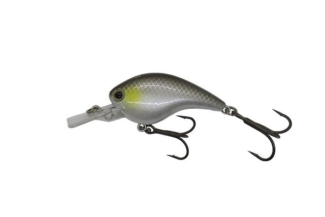 Ichikawa RC Flat Shad 45MD