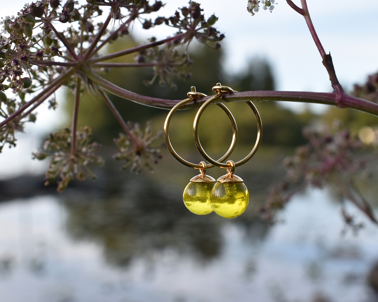 SVALÖ HONEY - yellow earrings gold plated 15 mm