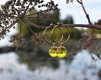 SVALÖ HONEY - yellow earrings gold plated 15 mm