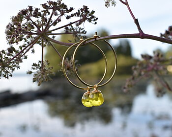 SVALÖ HONEY - yellow earrings gold plated 25 mm